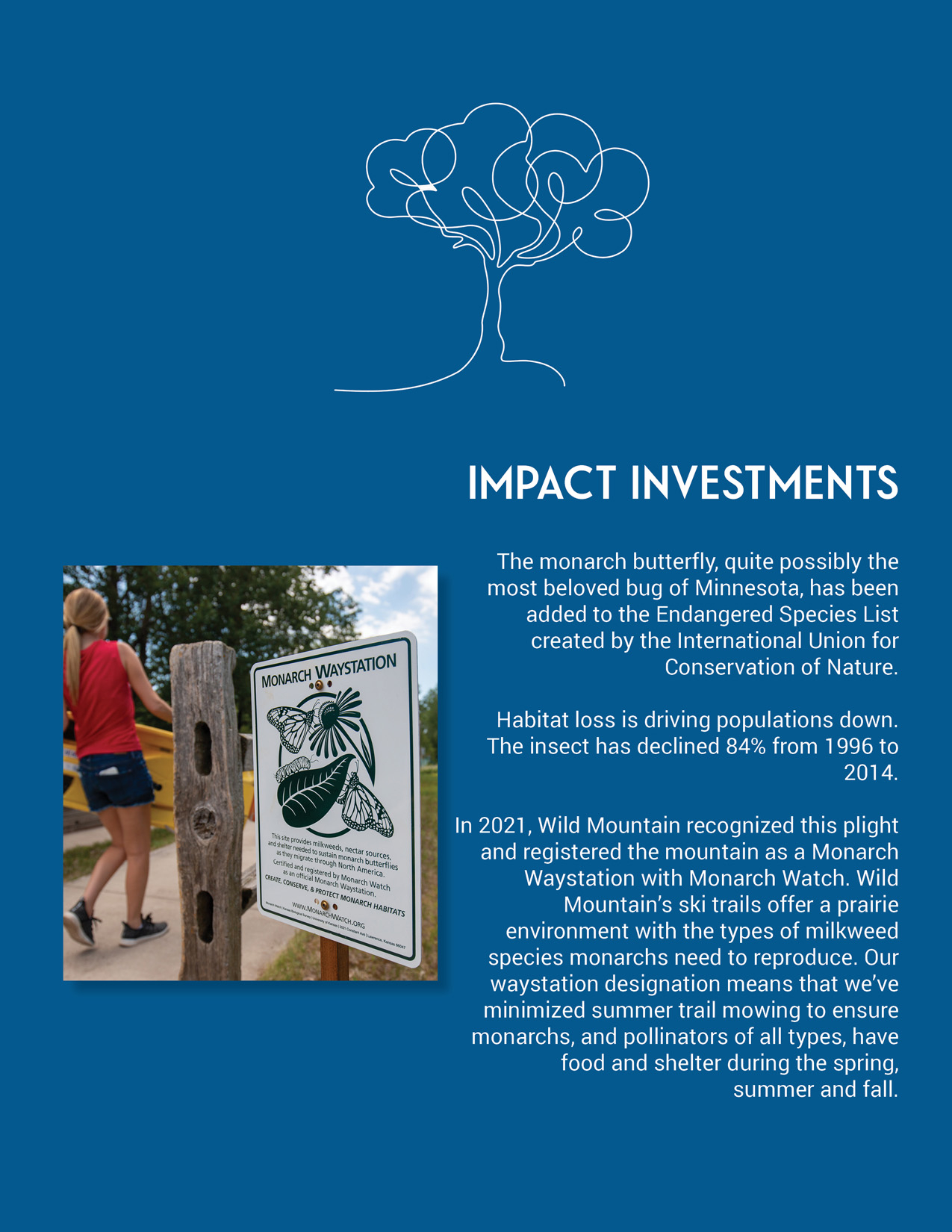 Impact Investments
